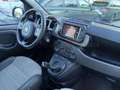 Fiat Panda Panda 1.0 firefly hybrid Cross s&s 70cv Blau - thumbnail 4