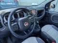 Fiat Panda Panda 1.0 firefly hybrid Cross s&s 70cv Blau - thumbnail 12