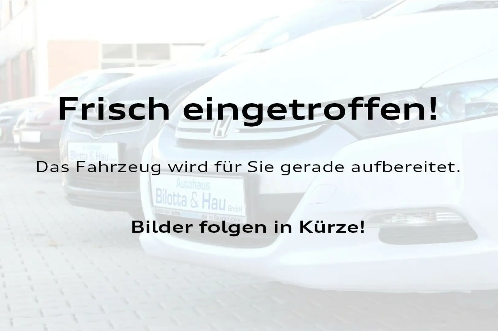 Skoda Kamiq 1.5 TSI Monte Carlo DSG ! V-Cockpit+Pano ! Grijs - 1