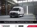 Mercedes-Benz Sprinter 316 CDI KA L2H2 Kamera BOTT AHK3,5t 7G Weiß - thumbnail 1