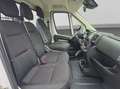 Citroen Jumper Pritsche Blanco - thumbnail 15
