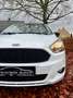 Ford Ka/Ka+ 1.2-4 cyl.-86pk-39600km-Cruise-ECC-PDC-LMV-Stoelv. Alb - thumbnail 9