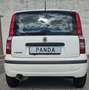 Fiat Panda Panda 1.1 Active Weiß - thumbnail 2
