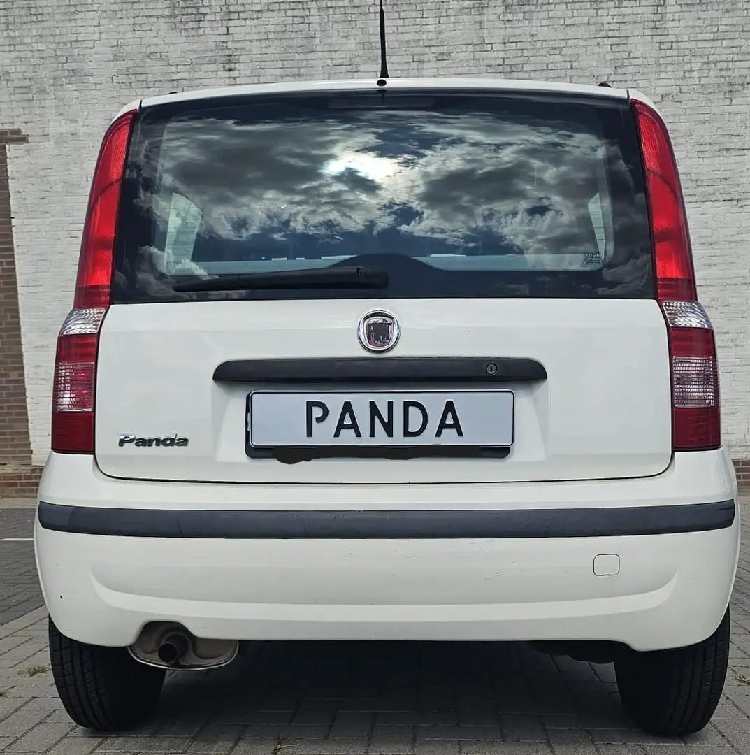 Fiat Panda Panda 1.1 Active Weiß - 2