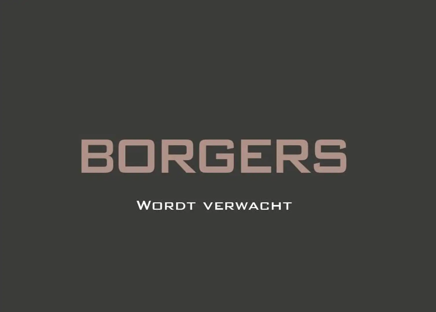 Audi RS Q8 Performance B&O Advanced l Sportdif l Carbon l 305 Zwart - 1