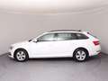 Skoda Superb Ambition TDI Weiß - thumbnail 27
