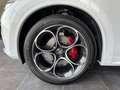 Alfa Romeo Stelvio 2.2 t Veloce Q4 210cv auto Blanco - thumbnail 7