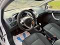 Ford Fiesta Titanium/KLIMA/ Weiß - thumbnail 13