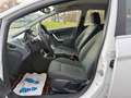 Ford Fiesta Titanium/KLIMA/ Weiß - thumbnail 12