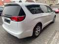 Chrysler Pacifica 3,6 V6 Touring  7-Sitzer *SHZ*ALU White - thumbnail 7