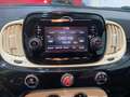 Fiat 500 CABRIO LOUNGE 1.2 69 CV 2P Zwart - thumbnail 14