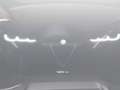 Alfa Romeo Stelvio 2.2 Turbodiesel 210 CV AT8 Q4 Veloce Grigio - thumbnail 18