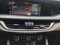 Alfa Romeo Stelvio Stelvio 2020 2.2 t Veloce Q4 210cv auto Nero - thumbnail 14