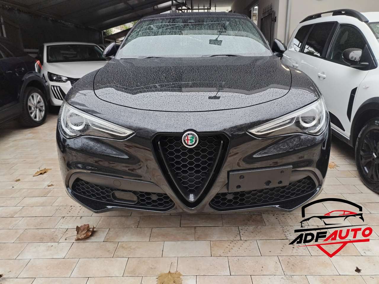 Alfa Romeo Stelvio Stelvio 2020 2.2 t Veloce Q4 210cv auto