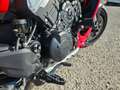 Ducati Diavel V4 Rosso - thumbnail 11