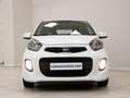 Kia Picanto 1.0 Concept Blanco - thumbnail 3