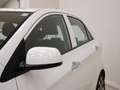 Kia Picanto 1.0 Concept Blanco - thumbnail 5