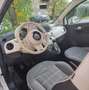 Fiat 500 1.2 Star 69cv my20 - thumbnail 3