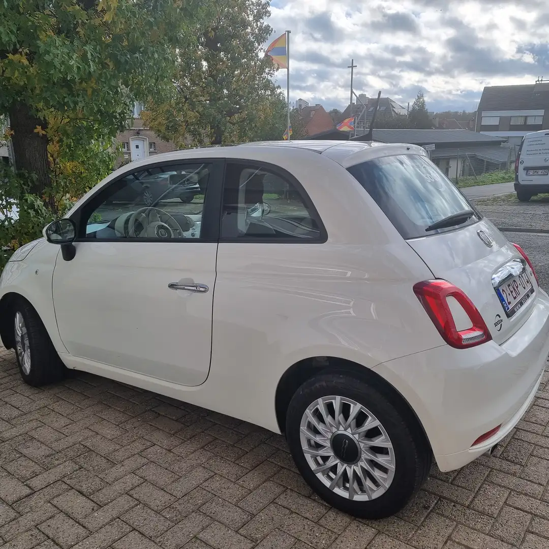 Fiat 500 1.2 Star 69cv my20 - 2