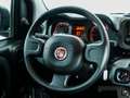 Fiat Panda CITY LIFE 1.0 MHEV 70 5P Grau - thumbnail 19