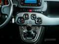 Fiat Panda CITY LIFE 1.0 MHEV 70 5P Grau - thumbnail 22