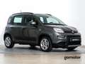 Fiat Panda CITY LIFE 1.0 MHEV 70 5P Grau - thumbnail 4