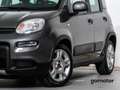 Fiat Panda CITY LIFE 1.0 MHEV 70 5P Grau - thumbnail 7