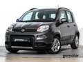 Fiat Panda CITY LIFE 1.0 MHEV 70 5P Grau - thumbnail 1