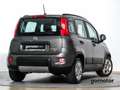 Fiat Panda CITY LIFE 1.0 MHEV 70 5P Grau - thumbnail 2