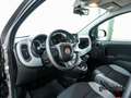 Fiat Panda CITY LIFE 1.0 MHEV 70 5P Grau - thumbnail 14