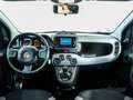 Fiat Panda CITY LIFE 1.0 MHEV 70 5P Grau - thumbnail 18