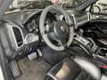 Porsche Cayenne Diesel 245 Aut. Blanco - thumbnail 8