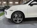 Porsche Cayenne Diesel 245 Aut. Blanco - thumbnail 7