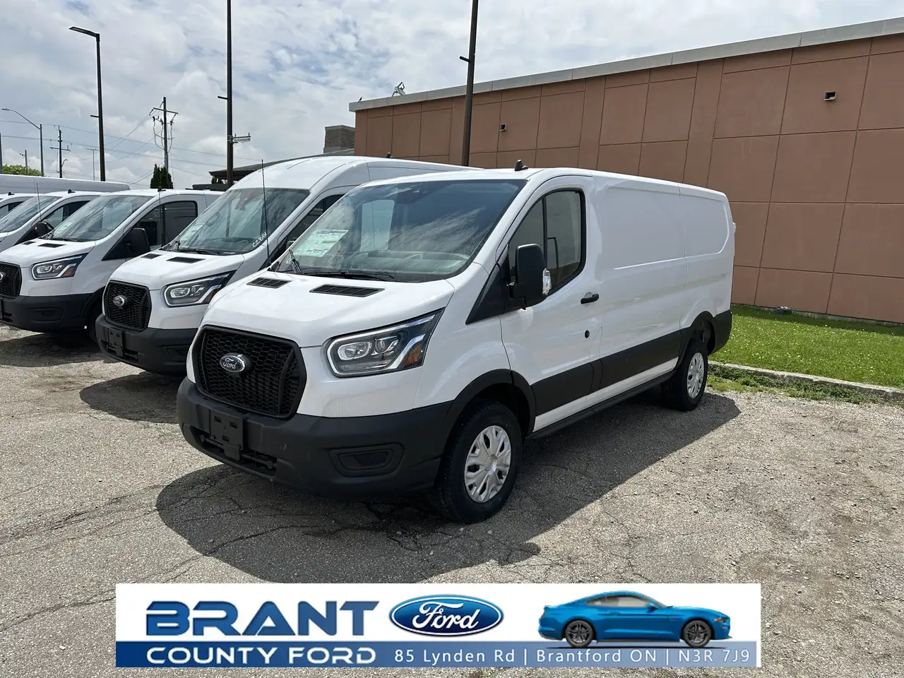 2024 Ford Transit Cargo Van