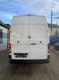 Volkswagen Crafter Kasten 35 Maxi 2,0 Shzg PDC 94TKM Blanc - thumbnail 5