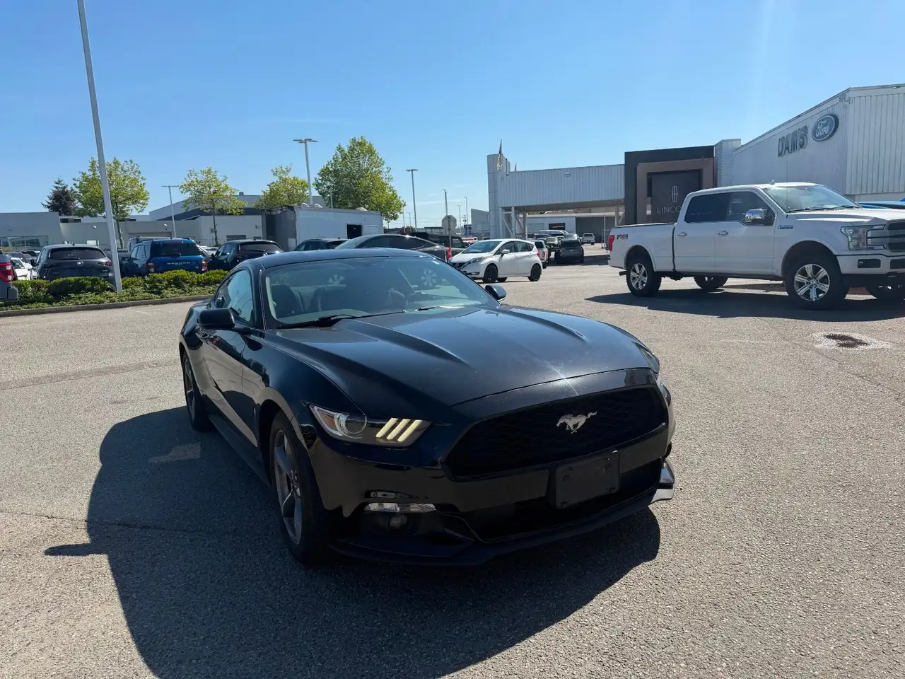 Ford Mustang снимка Ford Mustang