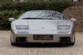 Lamborghini Diablo 6.0 V12 VT "Final year" The last year of productio Grau - thumbnail 6