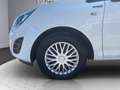 Opel Corsa 1,2 iCon Edition ecoFLEX Start/Stop System Weiß - thumbnail 19
