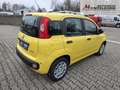 Fiat Panda Fiat Panda MY25 Pandina POP Hybrid | PDC | TOP Jaune - thumbnail 5