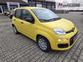 Fiat Panda Fiat Panda MY25 Pandina POP Hybrid | PDC | TOP Jaune - thumbnail 7
