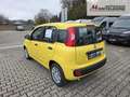 Fiat Panda Fiat Panda MY25 Pandina POP Hybrid | PDC | TOP Jaune - thumbnail 3