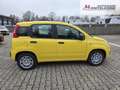 Fiat Panda Fiat Panda MY25 Pandina POP Hybrid | PDC | TOP Jaune - thumbnail 6