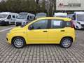 Fiat Panda Fiat Panda MY25 Pandina POP Hybrid | PDC | TOP Jaune - thumbnail 2