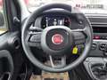 Fiat Panda Fiat Panda MY25 Pandina POP Hybrid | PDC | TOP Jaune - thumbnail 13