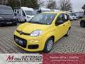 Fiat Panda Fiat Panda MY25 Pandina POP Hybrid | PDC | TOP Jaune - thumbnail 1