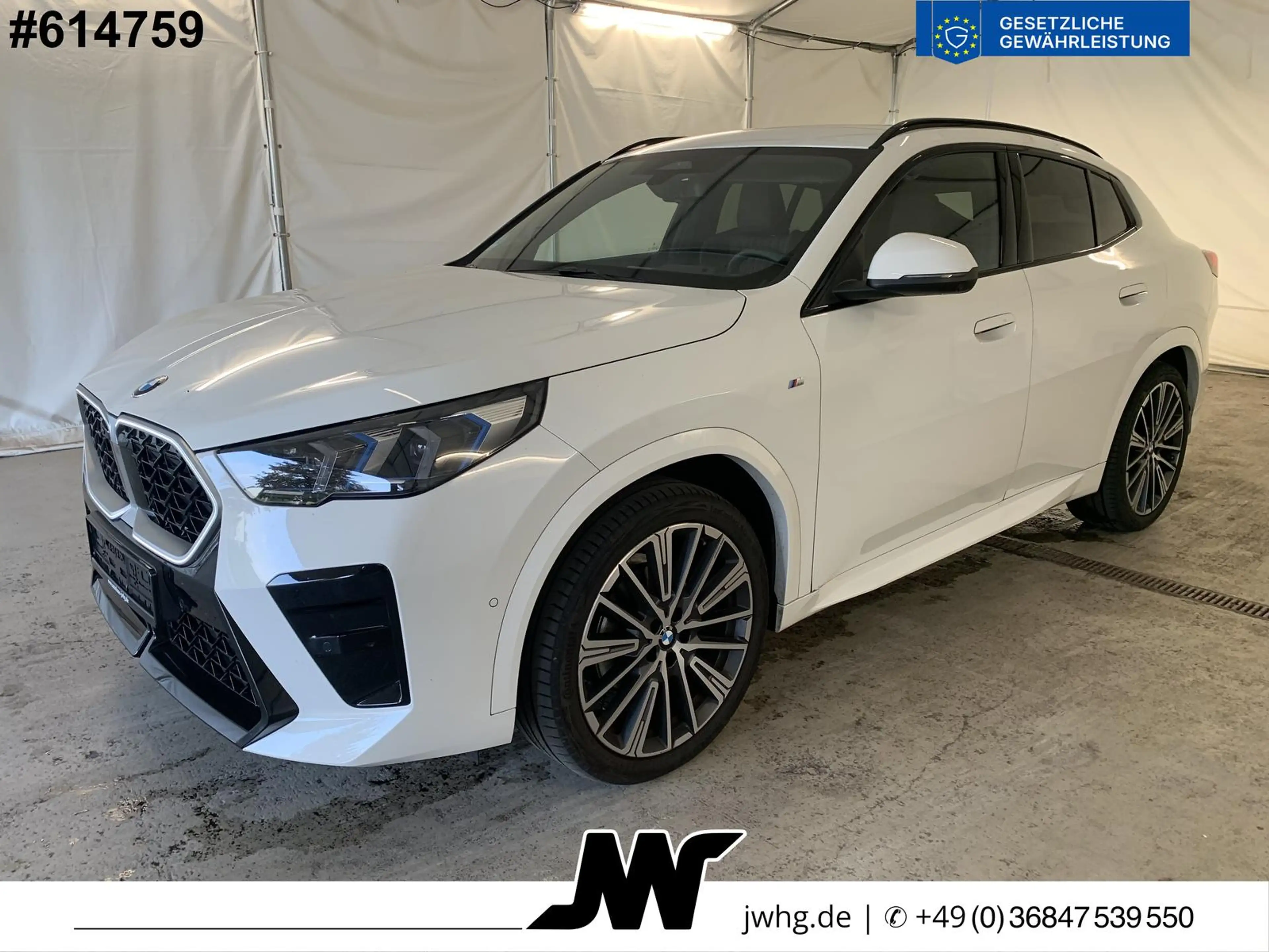 BMW X2 M Sport xDr 20" Widescr 360K CockpProf HeadUp