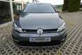 Volkswagen Golf R *Performance* NAVI LED AKRAPOVIC PANO Gris - thumbnail 7