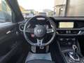 Alfa Romeo Stelvio Quadrifoglio Q4/HK/ACC/Technologie/1.Hd. Schwarz - thumbnail 17