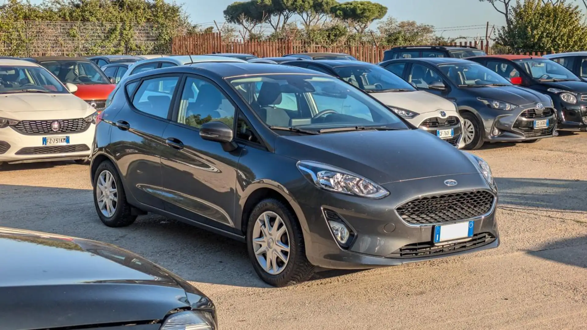 Ford Fiesta GPL 1.1cc 75cv ASSIST CORSIA CRUISE CONTROL Gris - 2