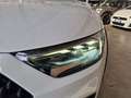 Audi A1 A1 Citycarver 30 1.0 tfsi Contrast 110cv S-TRONIC Bianco - thumbnail 15
